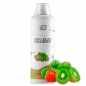  2SN Collagen Liguid Wellness 1000 