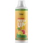  Health Form Isotonic Fresh Up 500 