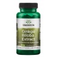  Swanson Ginkgo Biloba Extract STD 60  120 