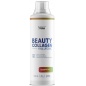  Health Form Collagen + Hyaluronic acid 500 