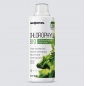  ENDORPHIN CHLOROPHYLL BIO 500 