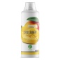Коллаген Nature Foods Collagen concentrate 1000 мл