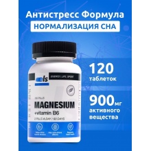  ELS Magnesium 120 