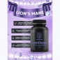 Специальный препарат Mentor Mind Lions Mane 80% 120 капсул