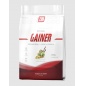 Гейнер 2SN Gainer 3000 гр